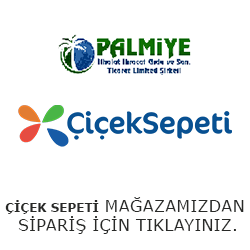 ÇİÇEK SEPETİ